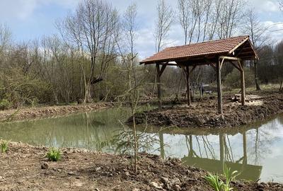 Spațiu comercial, în Vlădeni - 4