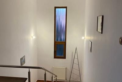 Casă cu 3 camere cu Teren 262 Mp în Iosefin - 2