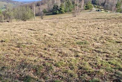 Spațiu comercial, în Damiș - 15