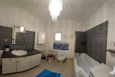 VILA CU PISCINA COSTINESTI - 9