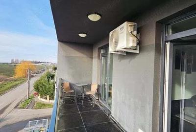 Apartament in Dumbravita - 4