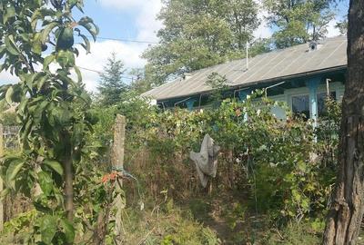 Casă cu 3 camere cu Teren 8000 Mp în Stuhuleț - 3