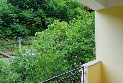 Casă cu 3 camere în Valea Roșie - 8
