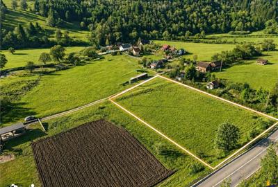 Teren de 3100 mp, în Poian - 2