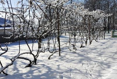 Casă cu 4 camere în Călinești - 3
