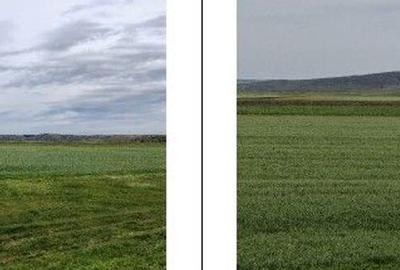 Teren de 20000 mp, în Andrieșeni - 15