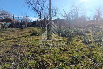 Casă cu 5 camere cu Teren 2158 Mp în Freidorf - 5