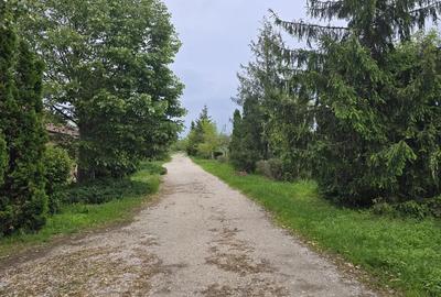 Teren de 38464 mp, în Beharca - 5