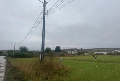 Vanzare 10.000 mp teren Liteni Suceava- la strada -potrivit proiect fonduri - 11