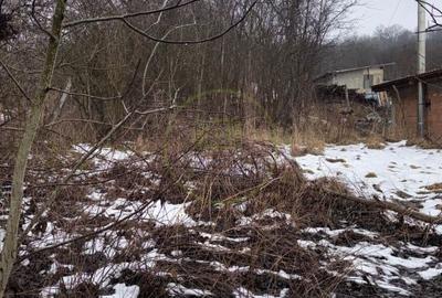 Casă cu 2 camere cu Teren 800 Mp în Mândra - 9