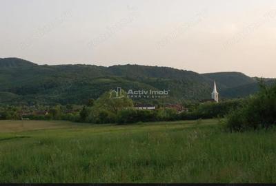 Casă cu 2 camere cu Teren 609 Mp în Uileacu de Beiuș - 9