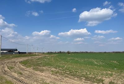 Teren Construcții intravilan de 5000 mp, în 1 Decembrie - 4