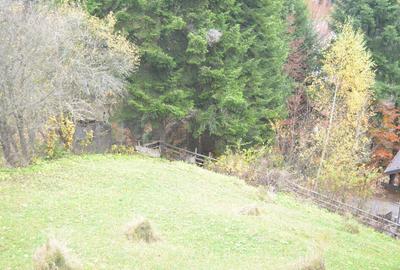 Busteni-Teren intravilan situat in Valea Alba in apropiere de partie - 5