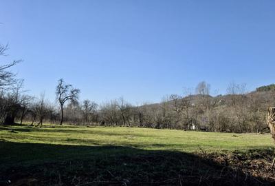 Teren de 4549 mp, în Gura Vitioarei - 9