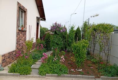 Casă cu 4 camere cu Teren 508 Mp în Tei - 9