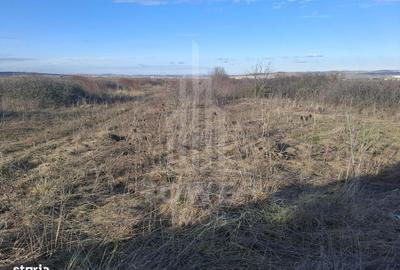 Spațiu comercial, în Cristian - 3