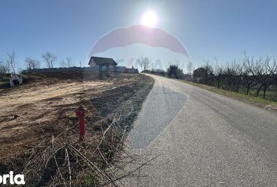 Teren de 1106 mp, în Girișu de Criș - 1