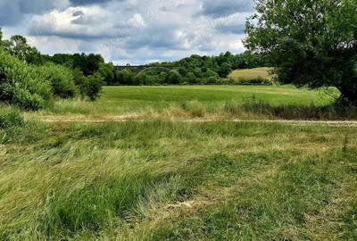 Comision 0%, teren 900 mp, Sinca Noua - 2