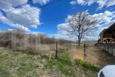 Teren intravilan de 2623 mp, in comuna Balesti - 3