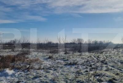 Teren de 50000 mp, în Ciorani - 9