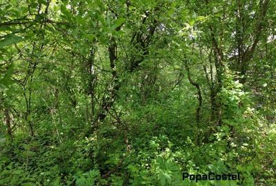 Teren Construcții intravilan de 1000 mp, în Central - 2