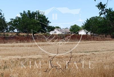 Ferma Pantelimon 10 hectare - 8