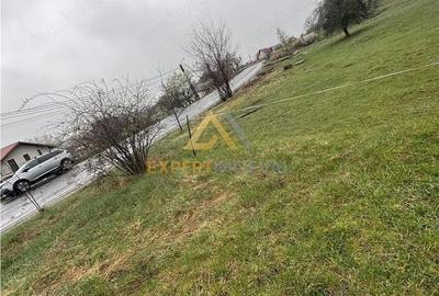 Teren de 11700 mp, în Est - 6