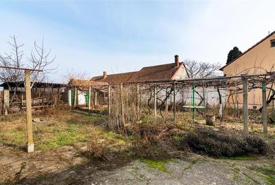 RECO Casa cu teren 3036mp, Bors - 17