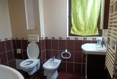 Inchiriere apartament3cam,74mp,proaspat renovat,intrare separat,Bucium - 9