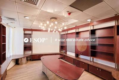 Spațiu comercial, de 938 mp, în Central - 11