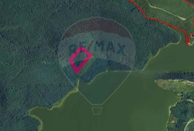 Teren forestier langa lacul Cincis, jud Hunedoara - 3