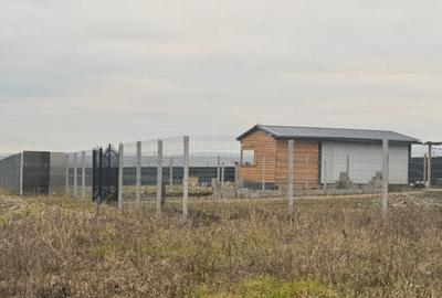 Teren cristur hunedoara parcele 500, 1000, 1500 mp - 14