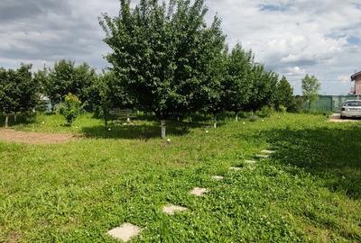 Cascioarele, Ulmi jud. Giurgiu, teren 1.200 mp + casuta de gradina si anexe - 9