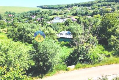 TEREN intravilan + casa  DOBRENI - SARATA - 3
