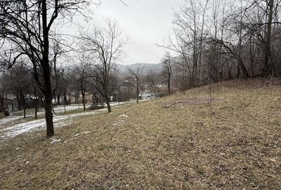 Teren 4652 mp cu izvor pe el, Lunca Mare, lângă păstrăvăria Doftana - 15