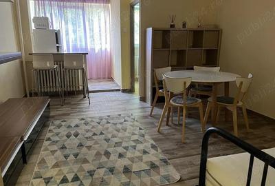 Garsoniera colentina-teiul doamnei-sectia 7-modern Garsoniera colentina-teiul doamnei-sectia 7-modern - 2