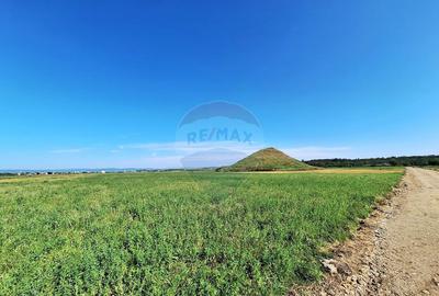 Teren intravilan Maracineni / Strada Manga - 8