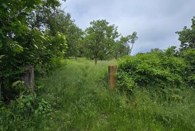Casă individuală cu 3 camere cu Teren 1000 Mp în Irești - 8