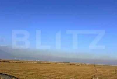 Teren de 10000 mp, în Cristian - 3