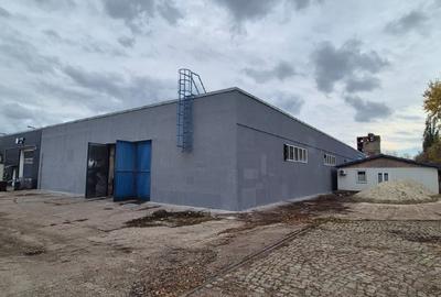 Spațiu industrial, de 4,300 mp, în B-dul București - 1