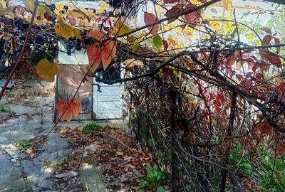 Casa Giulesti  300 mp Casa Giulesti  300 mp - 3