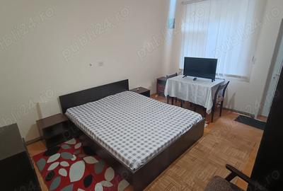 PF, Copou , inchiriez ,apartament 1 camera, centrala termica, copou ,centru, USAMV, Agronomie - 2