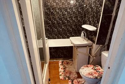 Apartament cu 2 camere semidecomandat în Cetate - 4