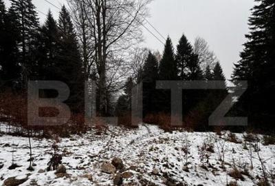 Teren unic, exclusivist 4000 mp, in inima muntilor, Sinaia - 11