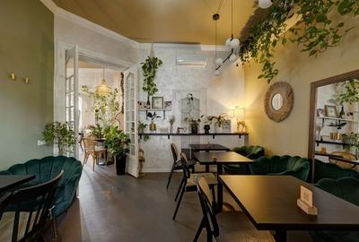 Vindem Afacerea ! Mini Hotel + Cafenea/ Restaurant ! Parcul Carol ! - 24