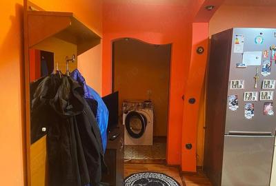 Apartament cu 2 camere decomandat în Craiovița Nouă - 2