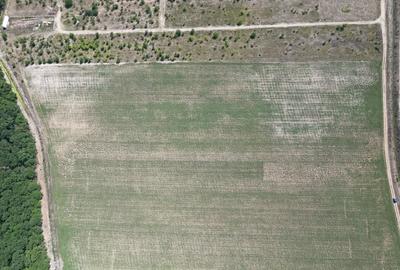 Teren intravilan langa padure Corbeanca Park - 1