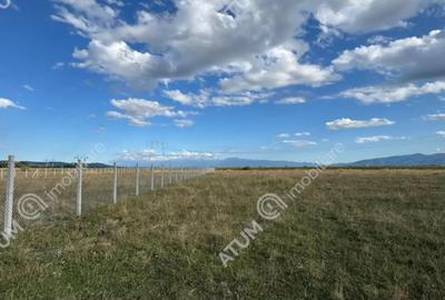 Teren de 4200 mp, în Piața Cluj