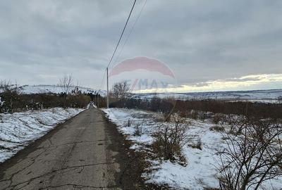 Teren 10,000mp Rada?eni / ?oseaua DN2-E85, jude?ul S... - 5