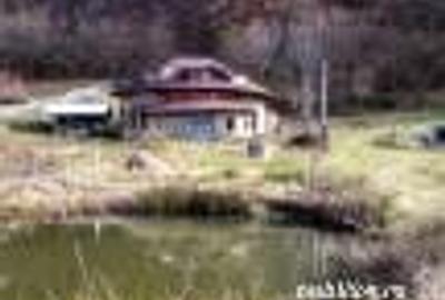 Casă cu 6 camere cu Teren 2700 Mp în Bradu - 2